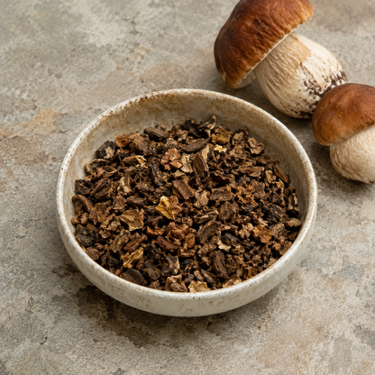 Ciotola in terracotta su piano di pietra contenente briciole di funghi porcini essiccati marroni.