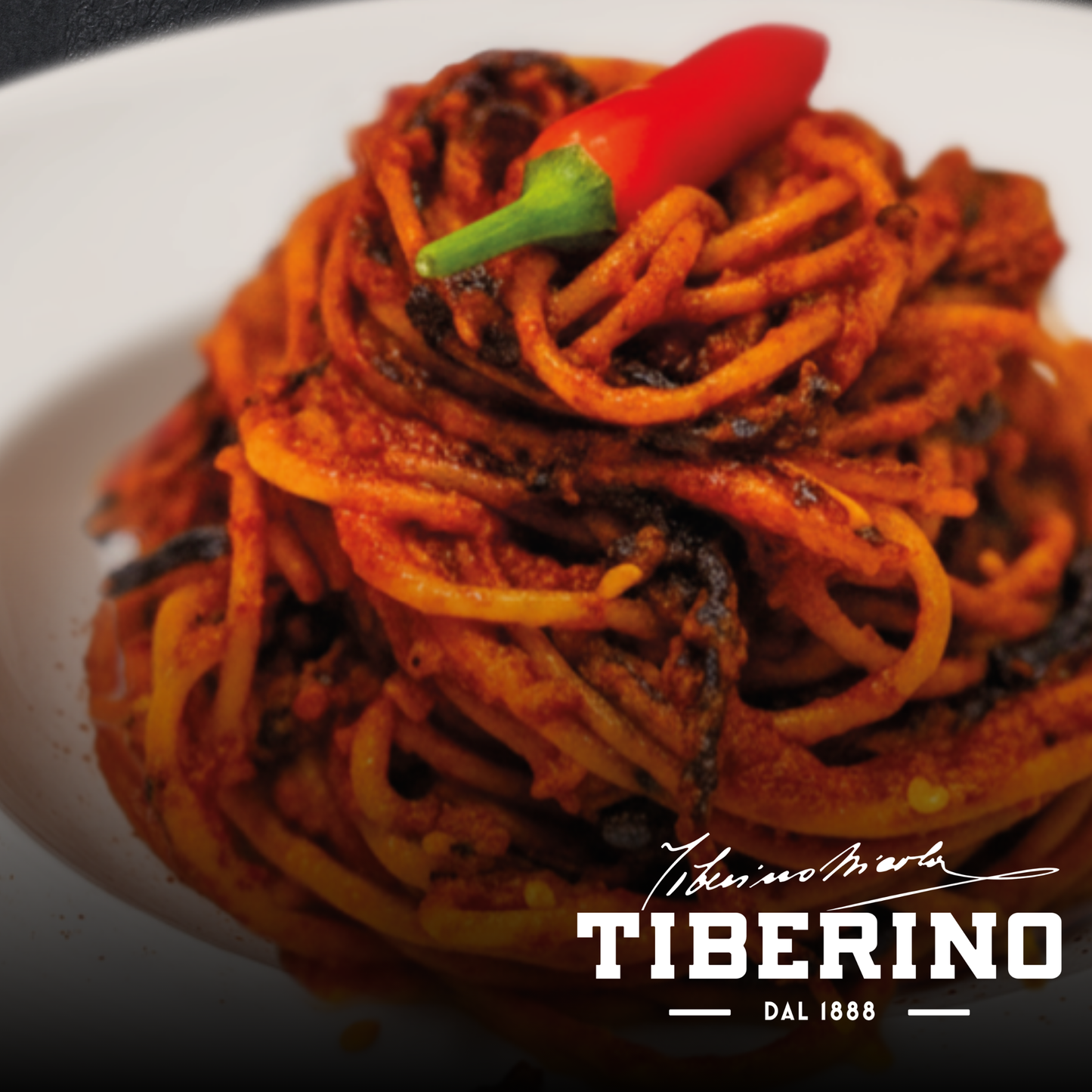 Spaghetti all'Assassina con sugo rosso scuro e bordi bruciacchiati, guarniti con un peperoncino rosso fresco, serviti su piatto bianco.